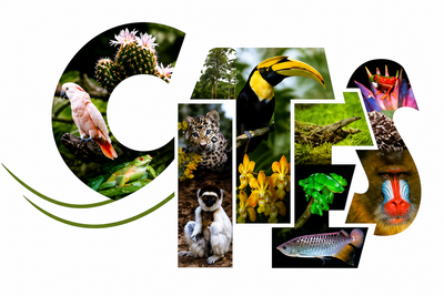 Featured in logo