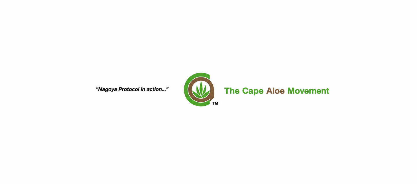 Kap Aloe Natur Shot Sparpaket