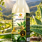 KAP ALOE Trank NATUR 1 Liter mit hochwerigen Proteinen