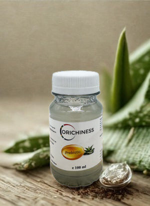 KAP ALOE Shot Natur 100 ml