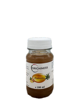 Prebiotika Aloe Trank Ingwer 100 ml Shot