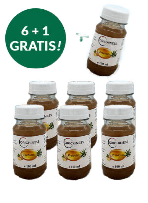 Prebiotika Aloe Trank Ingwer 7×100 ml im Paket