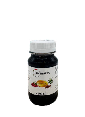 Prebiotika Aloe Trank Cranberry Zimt 100 ml Shot