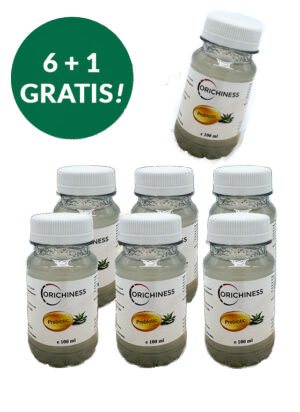 Prebiotika Aloe Trank Natur 7×100 ml im Paket