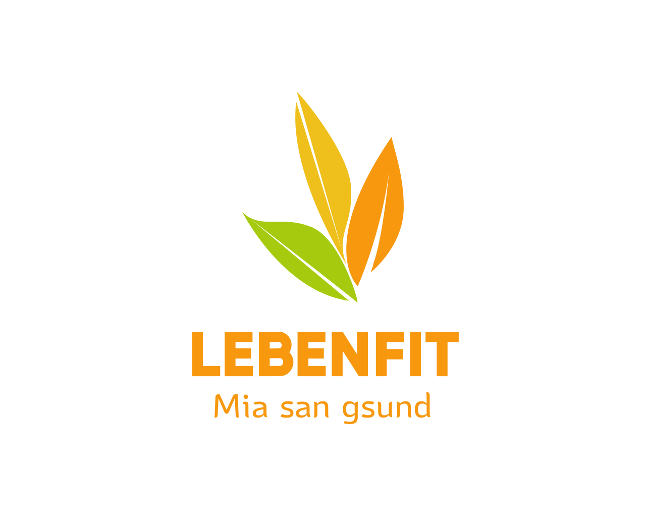 Zur Startseite gehen